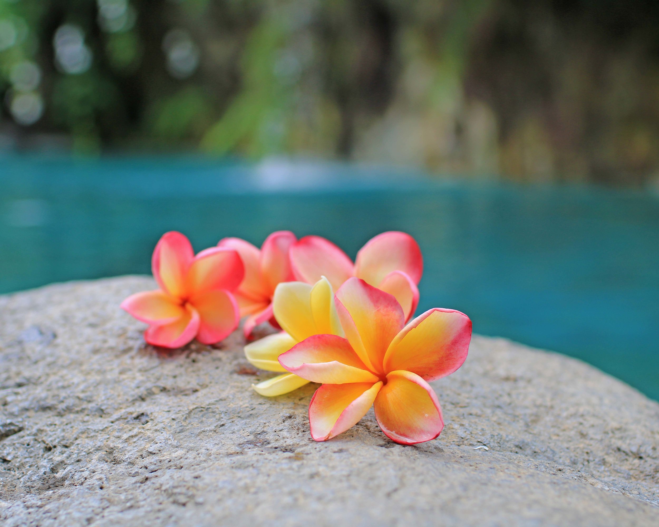 Peppers Seminyak: Spa. Wellness and hospitality imagery with a calm visual tone.